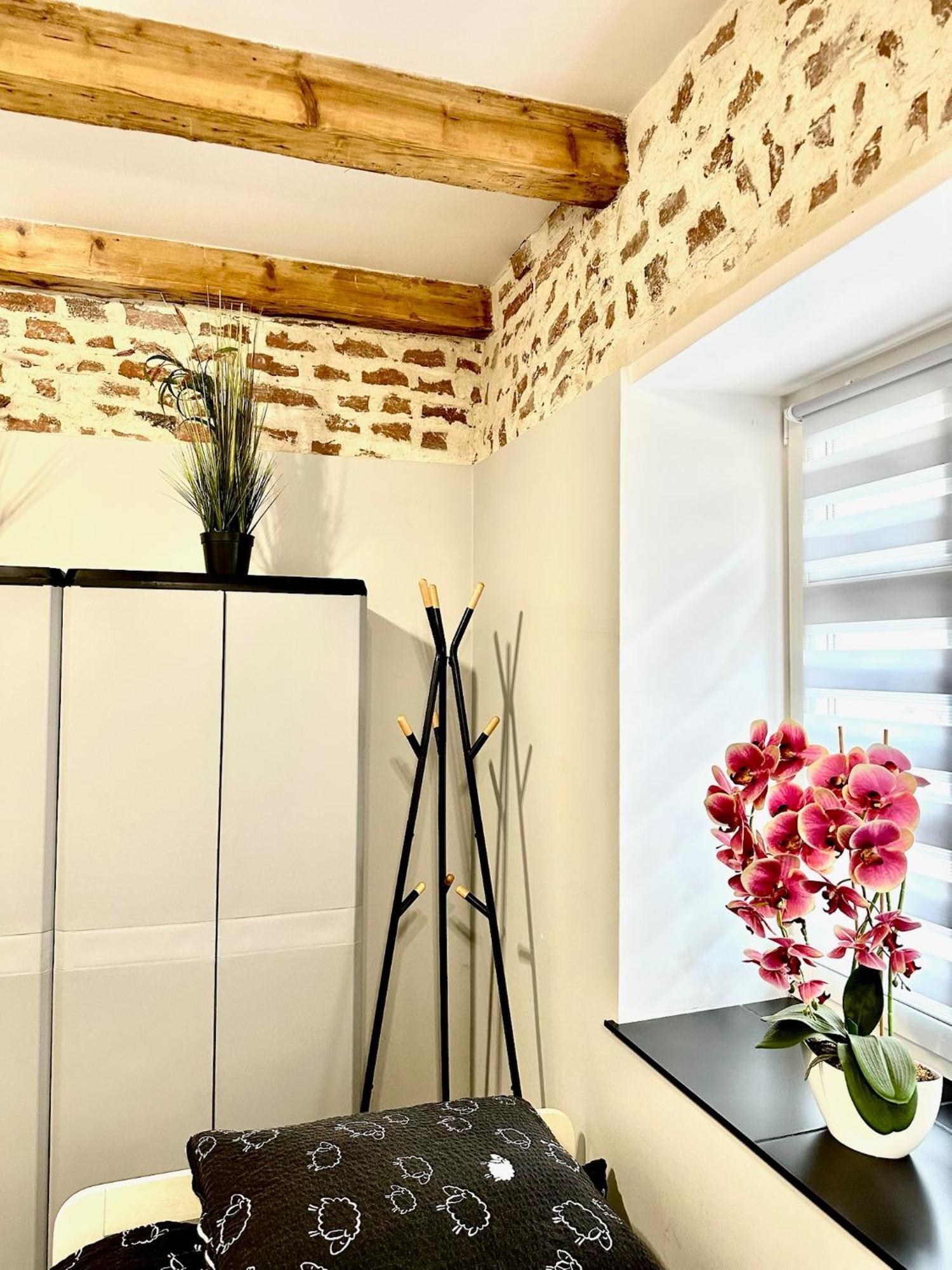 Marianowka Apartman Legnica Kültér fotó